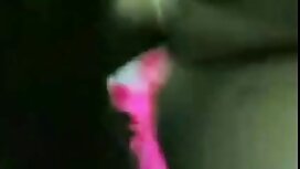 Uomo catturato la vi ...
