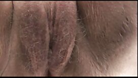 Porno stella adulto  ...